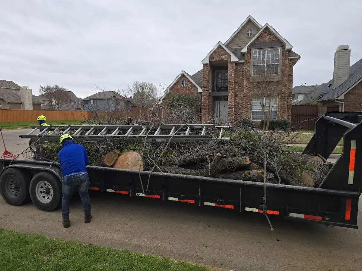 Expert Tree Fertilization with proper safety equipment in Caledonia